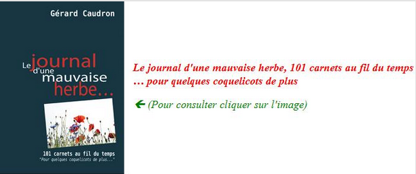 mauvaise_herbe